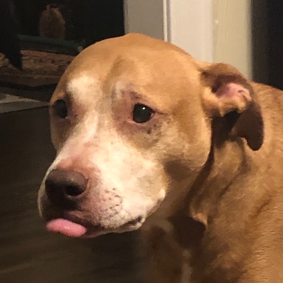 Meet your Posher, Mario - Picture 1 of 1